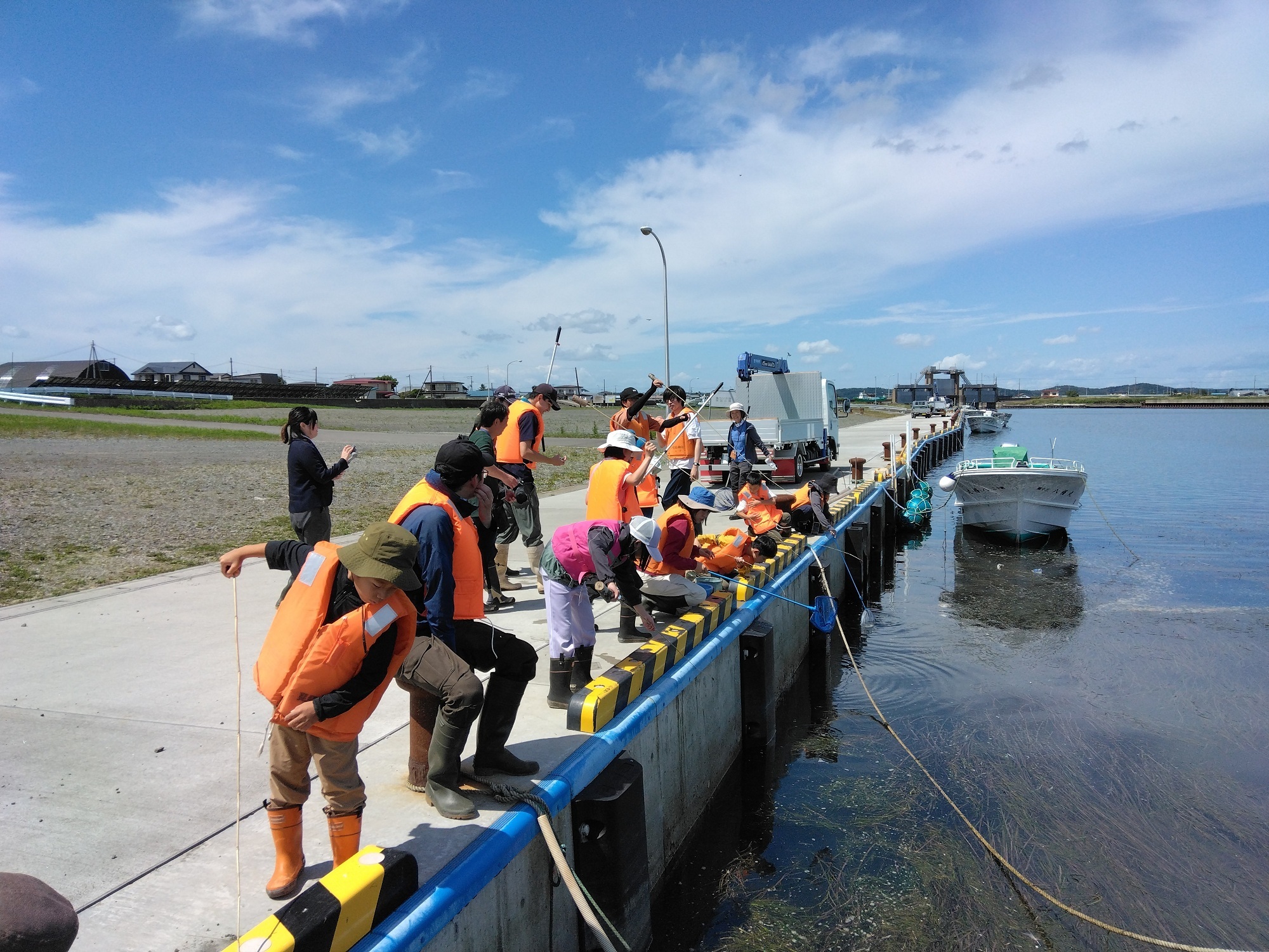 浜中町海の生きもの探し