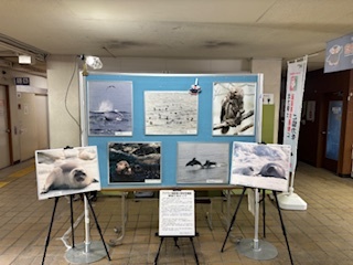 パネル展の様子