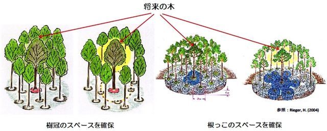 Future_Tree_02.jpg