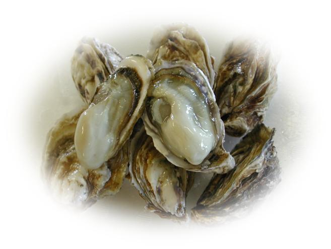 akkeshi-kaki.JPG