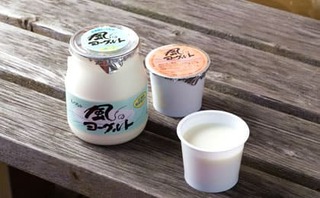 風ヨーグルト