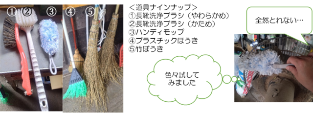 図1 (PNG 205KB)