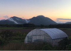 硫黄山の近く