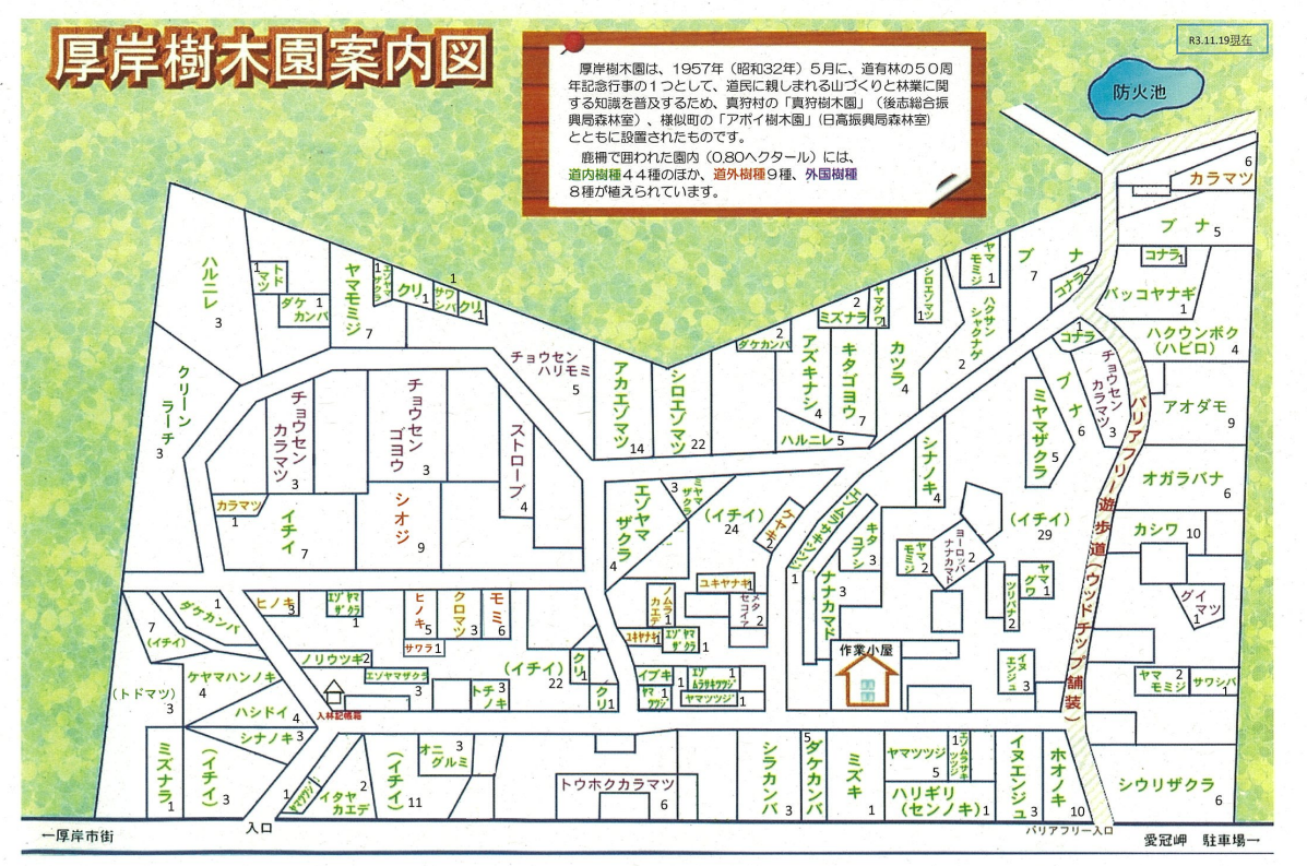 樹木園案内図