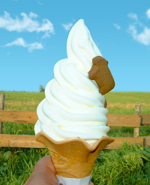 photo_soft.jpg