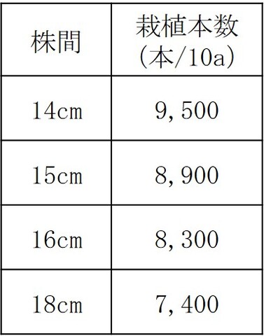 畦幅75cmの時の株間と栽植本数