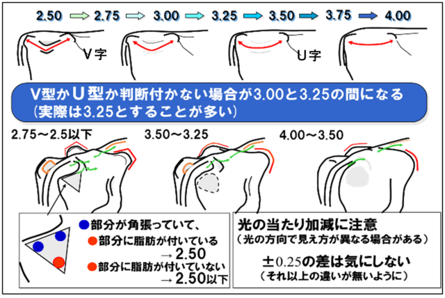 ボディコンディションスコア（BCS）の見方