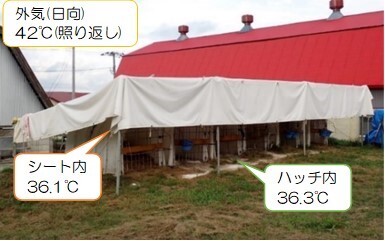 テントシートで日陰を作る