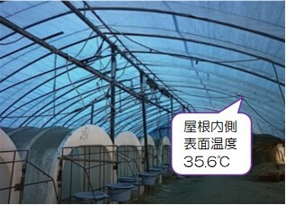 ブルーシートの内側