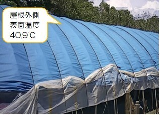 ブルーシートの外側