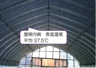 寒冷しゃを張り日光を防ぐ
