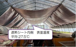 寒冷しゃと遮熱シートの併用