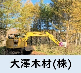 大澤木材.JPG