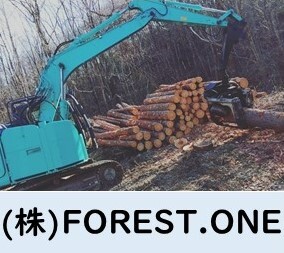 FORESTONE.JPG