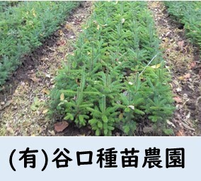 谷口種苗農園.JPG