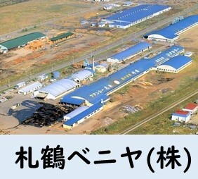 札鶴ベニヤ.JPG