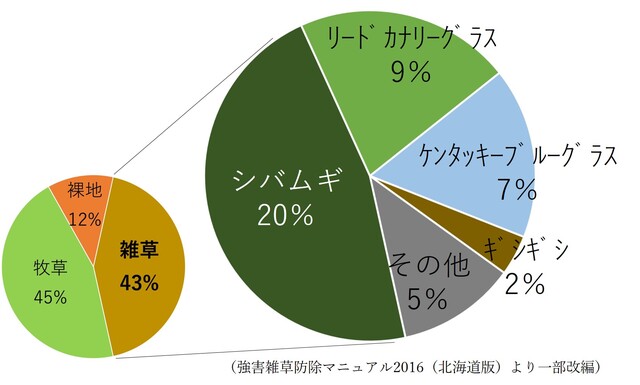 根釧の草地雑草冠部被度