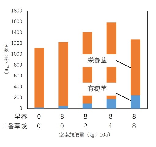 チモシー1番草刈取後の窒素施肥量と2番草の全茎数（松中、1987）より作図