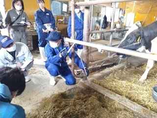 タイレールの位置について講義