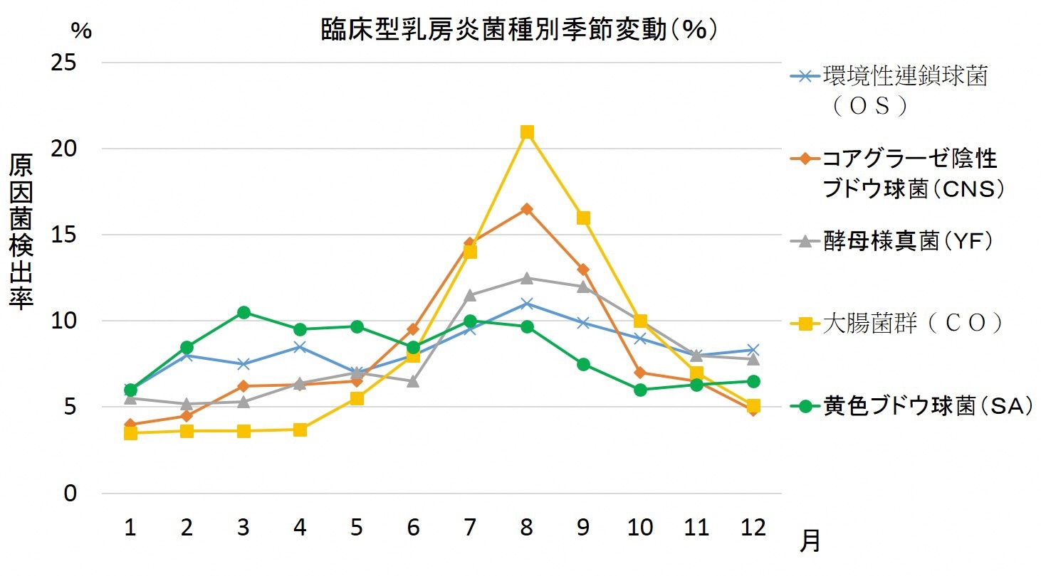 fig1.jpg
