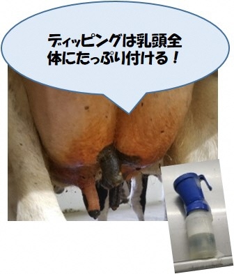 fig3.jpg