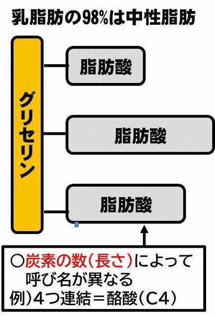 図1 中性脂肪の構造