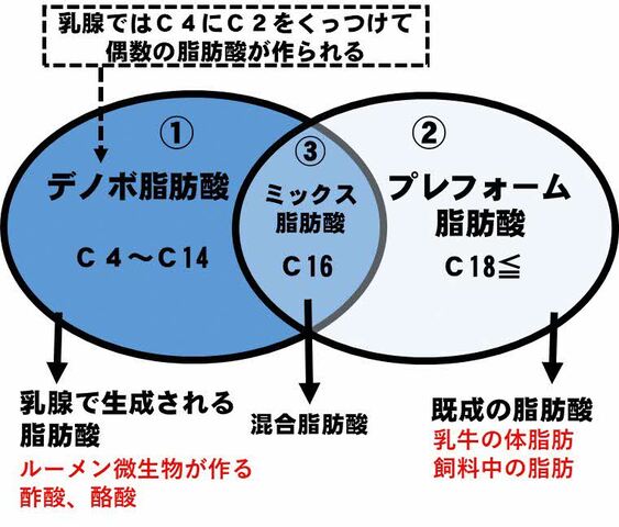 図2 乳脂肪中の脂肪酸内訳