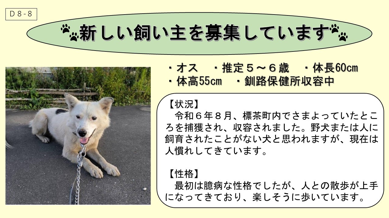 犬D8-8