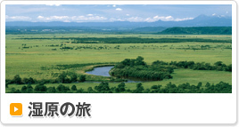 湿原の旅