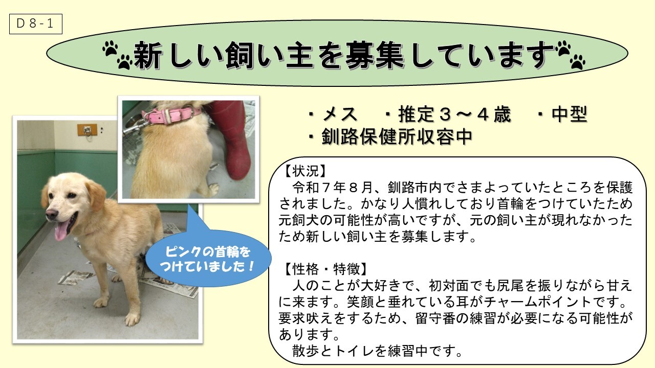 犬D8-1
