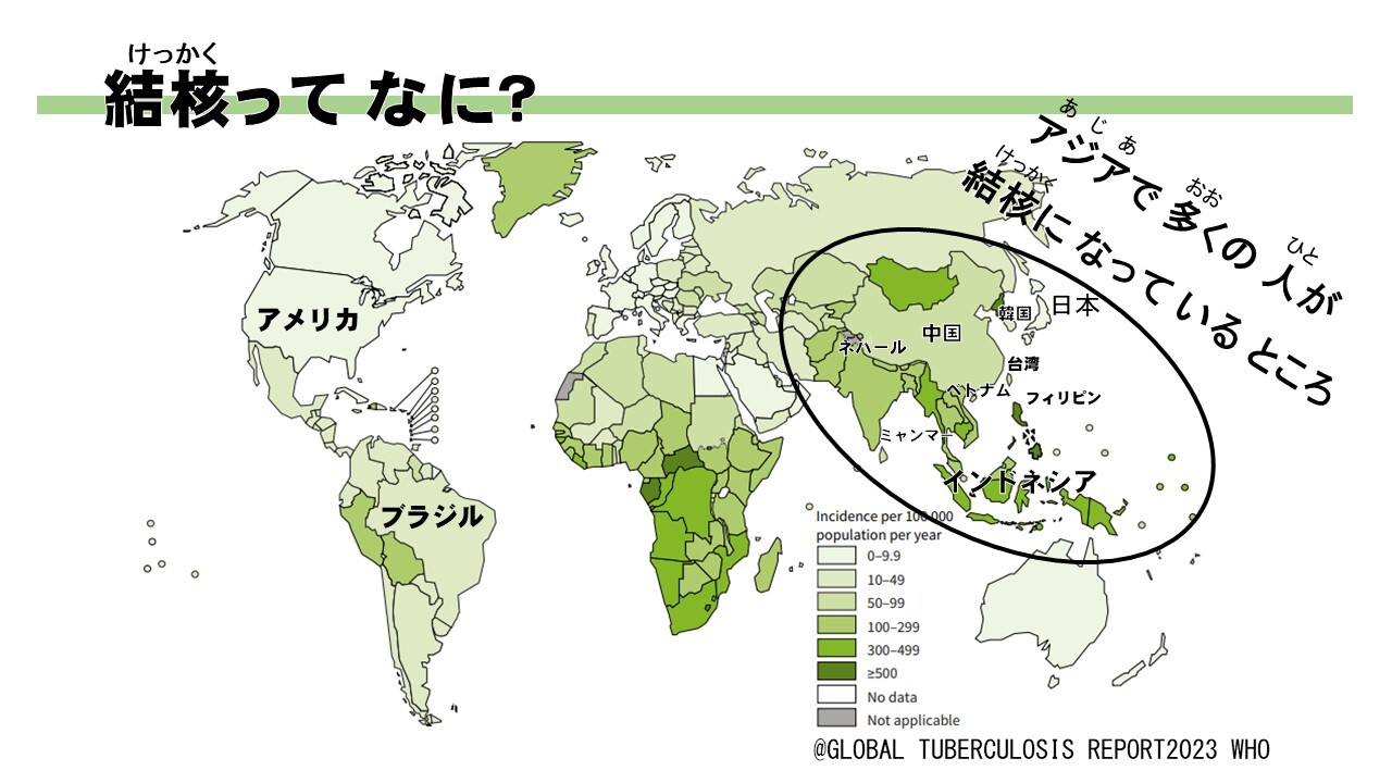 優しい日本語版正しく知ろう！結核のこと