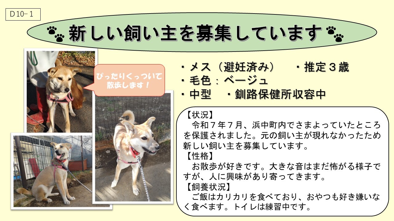 犬D10-1