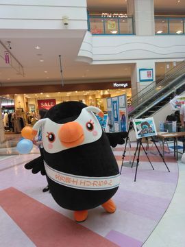 thumb-1000000072 (JPG 20.2KB)