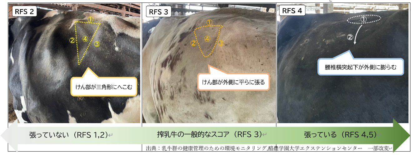 スコアのつけ方
