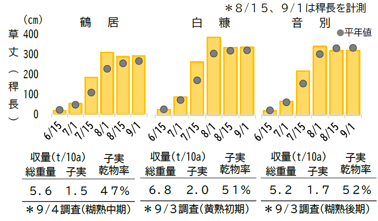 3 コーン (PNG 68.5KB)