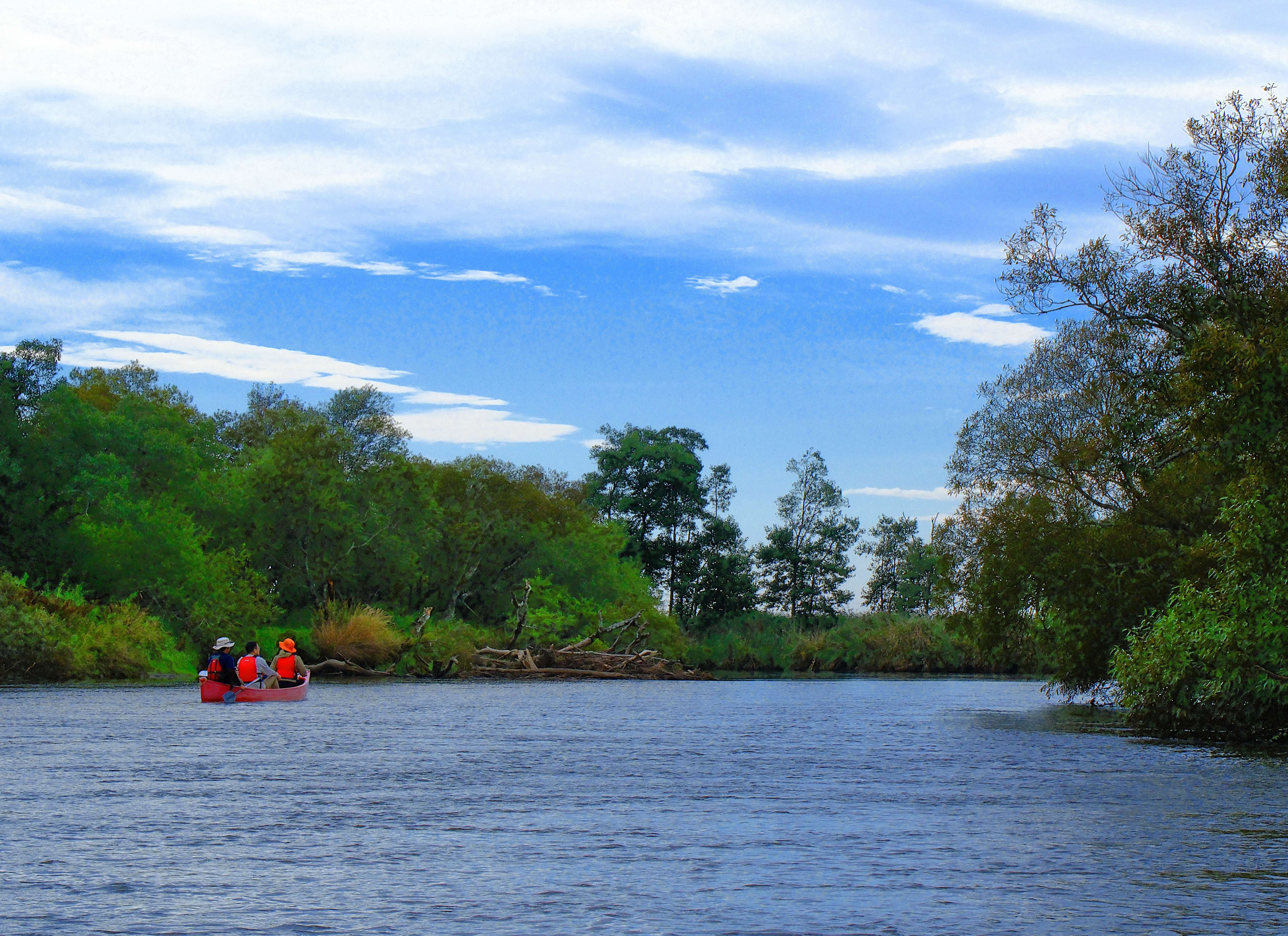 河川でカヌーを漕ぐ姿がうつる作品