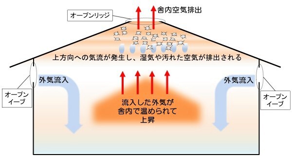 自然換気による施設内の空気の動き