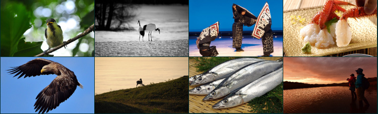 釧路地域の写真