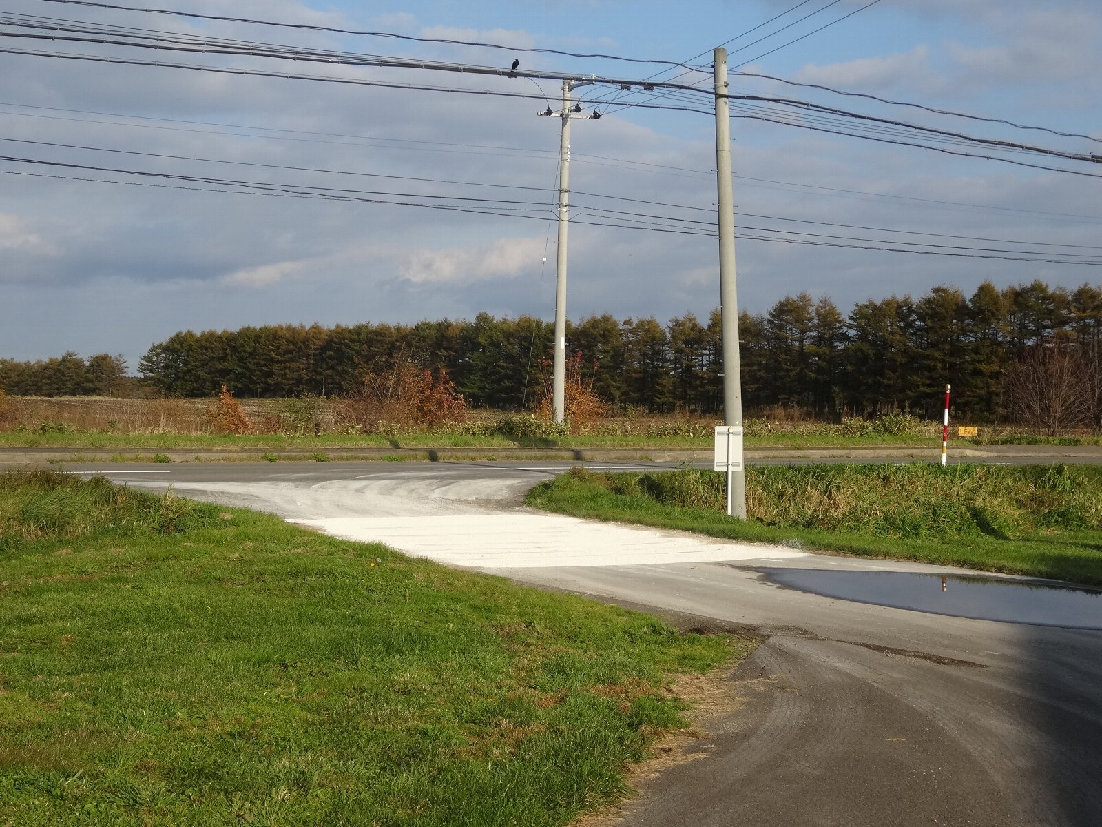 写真1_出入り口の石灰帯