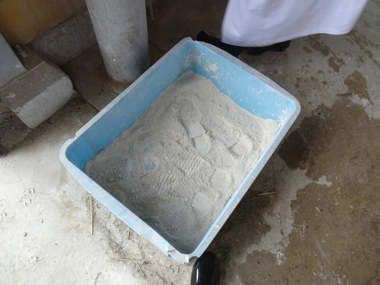 写真2_石灰の踏み込み消毒槽