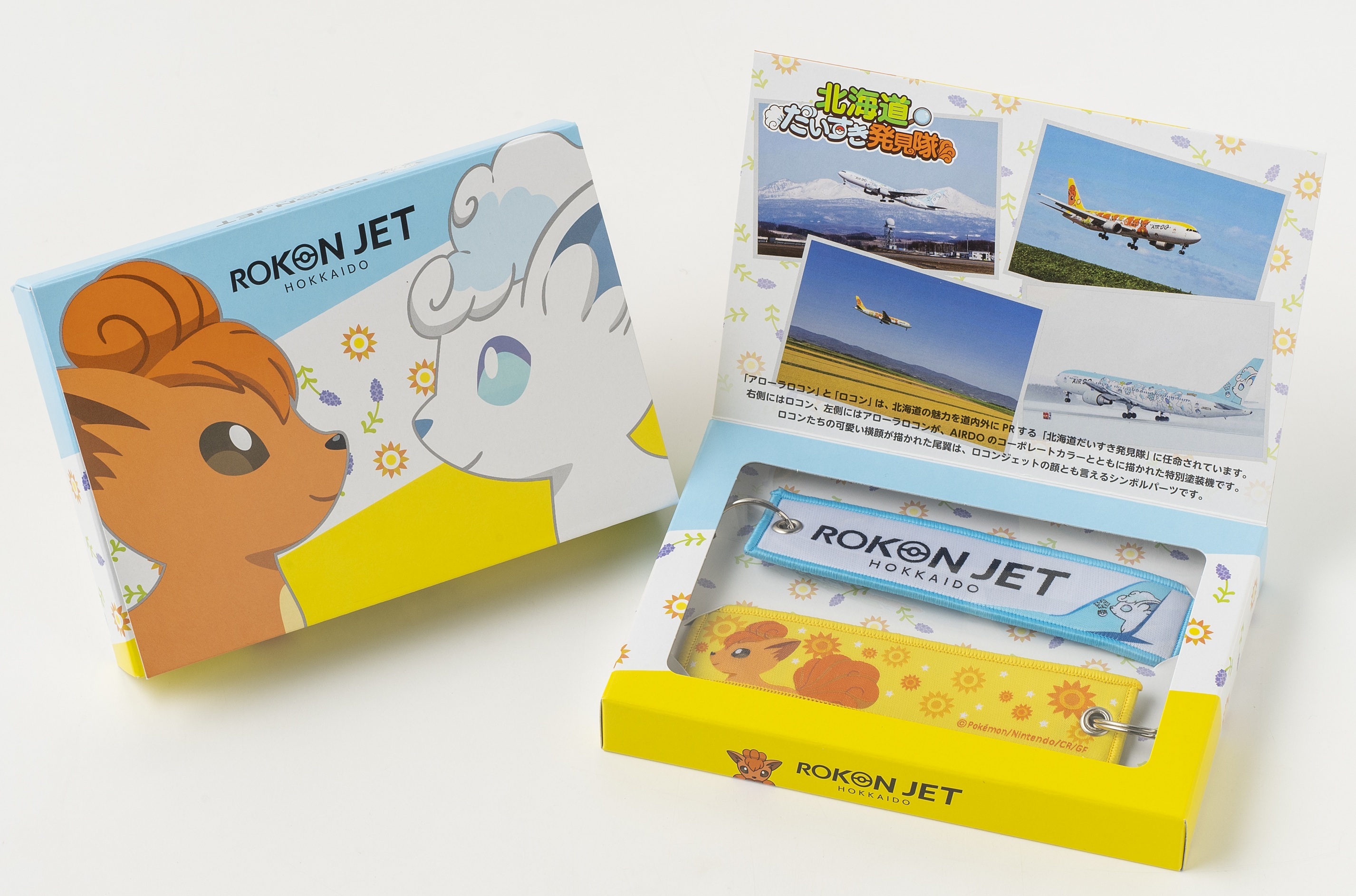 アローラロコンとロコンの横顔が描かれた尾翼がデザインされたフライトタグ。箱入り