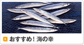 おすすめ海の幸