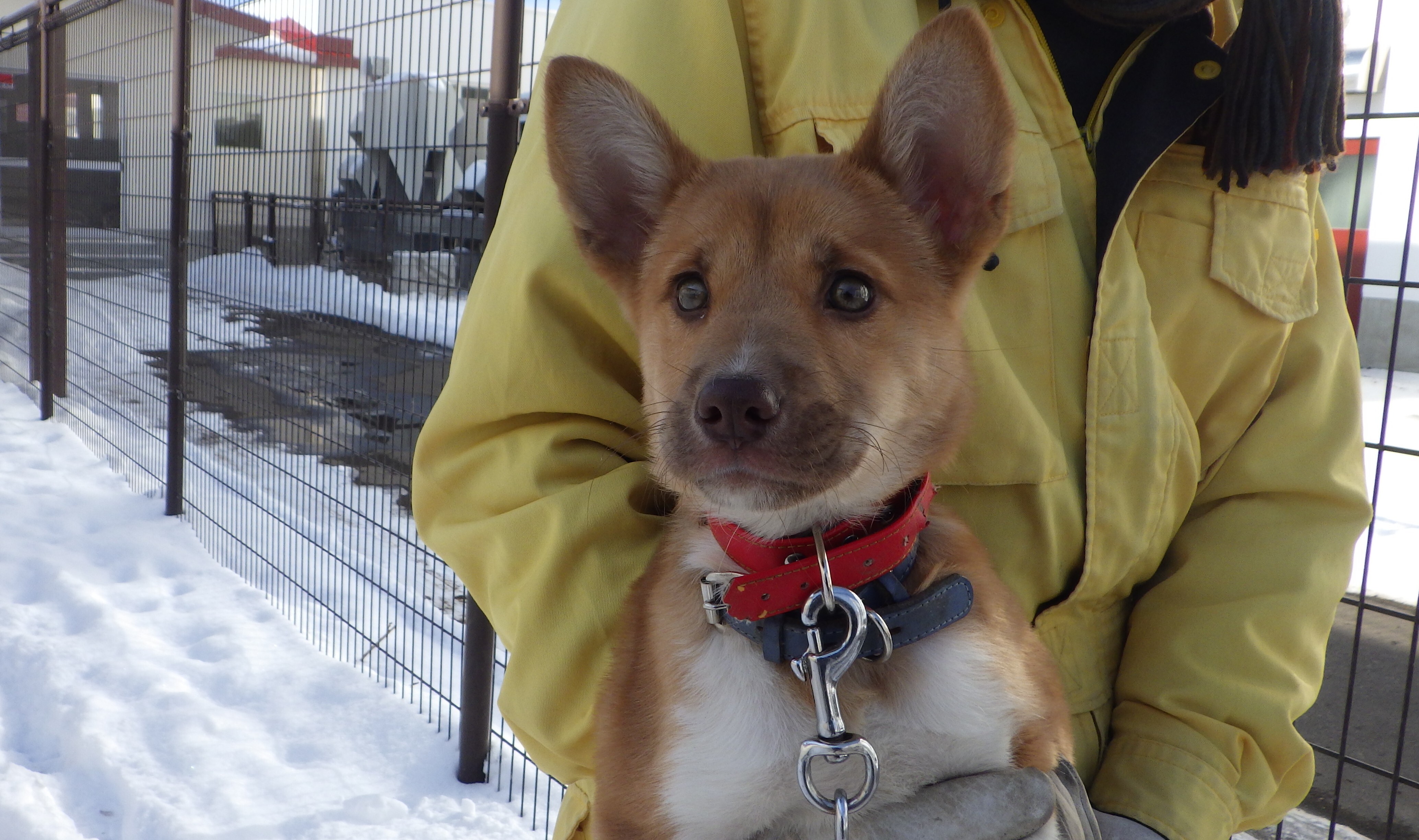 RIMG2309 (JPG 1.68MB)