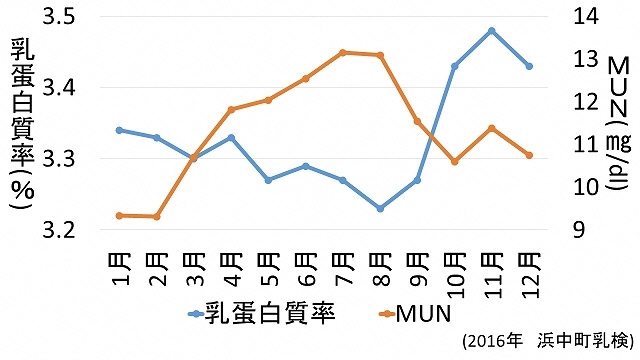 seibunn.jpg