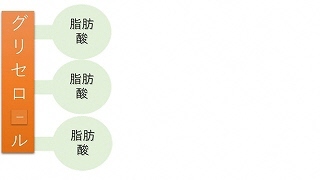 新しい乳成分　FFA　を知る新しい乳成分　FFA　を知る