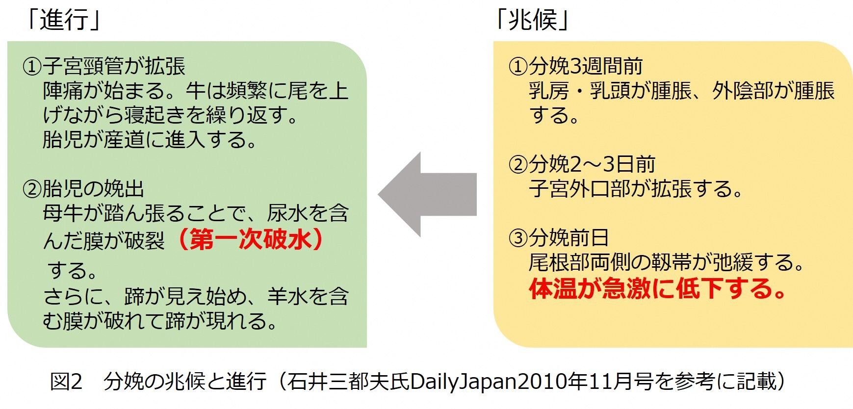 fig2e.jpg