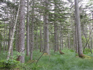 image32.jpg