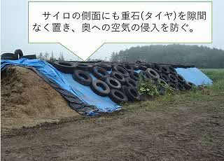 今年の牧草の品質とこれからの飼料給与 - 釧路総合振興局産業