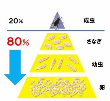 ハエ対策 について 釧路総合振興局産業振興部釧路農業改良普及センター ハエ対策 について 釧路総合振興局産業振興部釧路農業改良普及センター