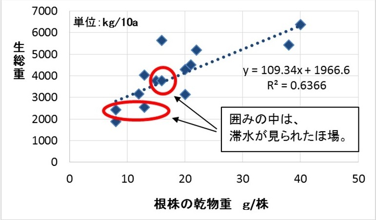 fig2.JPG